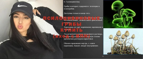 Альфа ПВП Козловка