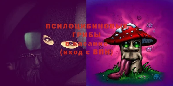 бошки Коряжма