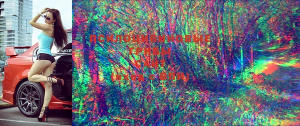 Альфа ПВП Козловка