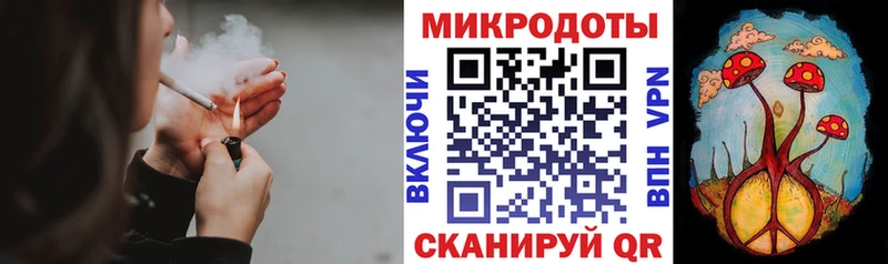 shop какой сайт  где купить наркоту  Магас  Псилоцибиновые грибы Psilocybe 